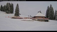 Archiv Foto Webcam Haldenköpfle im Schwarzwald - Hütte 09:00