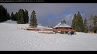 Archiv Foto Webcam Haldenköpfle im Schwarzwald - Hütte 11:00