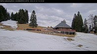 Archiv Foto Webcam Haldenköpfle im Schwarzwald - Hütte 13:00