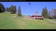 Archiv Foto Webcam Haldenköpfle im Schwarzwald - Hütte 11:00