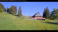 Archived image Webcam Haldenköpfle at Black Forest 07:00