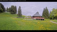 Archived image Webcam Haldenköpfle at Black Forest 11:00