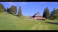 Archiv Foto Webcam Haldenköpfle im Schwarzwald - Hütte 07:00