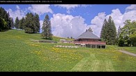 Archiv Foto Webcam Haldenköpfle im Schwarzwald - Hütte 11:00