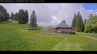 Archiv Foto Webcam Haldenköpfle im Schwarzwald - Hütte 13:00