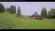 Archived image Webcam Haldenköpfle at Black Forest 11:00