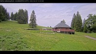 Archived image Webcam Haldenköpfle at Black Forest 13:00