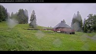 Archiv Foto Webcam Haldenköpfle im Schwarzwald - Hütte 11:00