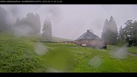 Archiv Foto Webcam Haldenköpfle im Schwarzwald - Hütte 19:00