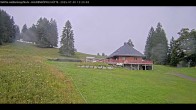 Archiv Foto Webcam Haldenköpfle im Schwarzwald - Hütte 11:00