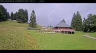 Archiv Foto Webcam Haldenköpfle im Schwarzwald - Hütte 11:00