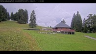 Archiv Foto Webcam Haldenköpfle im Schwarzwald - Hütte 13:00