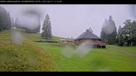 Archived image Webcam Haldenköpfle at Black Forest 11:00