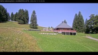 Archived image Webcam Haldenköpfle at Black Forest 11:00