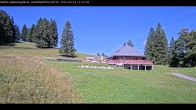 Archiv Foto Webcam Haldenköpfle im Schwarzwald - Hütte 11:00