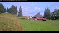 Archiv Foto Webcam Haldenköpfle im Schwarzwald - Hütte 06:00