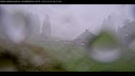 Archiv Foto Webcam Haldenköpfle im Schwarzwald - Hütte 05:00