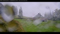 Archiv Foto Webcam Haldenköpfle im Schwarzwald - Hütte 06:00