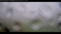 Archiv Foto Webcam Haldenköpfle im Schwarzwald - Hütte 07:00
