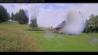 Archiv Foto Webcam Haldenköpfle im Schwarzwald - Hütte 11:00