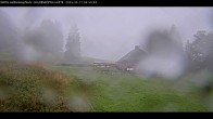 Archiv Foto Webcam Haldenköpfle im Schwarzwald - Hütte 06:00