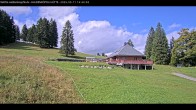 Archiv Foto Webcam Haldenköpfle im Schwarzwald - Hütte 11:00