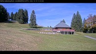 Archiv Foto Webcam Haldenköpfle im Schwarzwald - Hütte 11:00