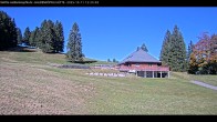 Archiv Foto Webcam Haldenköpfle im Schwarzwald - Hütte 11:00