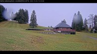 Archiv Foto Webcam Haldenköpfle im Schwarzwald - Hütte 11:00