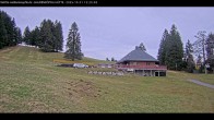 Archiv Foto Webcam Haldenköpfle im Schwarzwald - Hütte 11:00