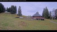 Archiv Foto Webcam Haldenköpfle im Schwarzwald - Hütte 13:00
