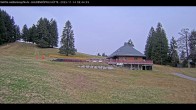 Archiv Foto Webcam Haldenköpfle im Schwarzwald - Hütte 08:00
