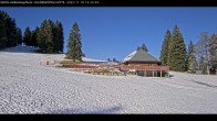 Archived image Webcam Haldenköpfle at Black Forest 11:00