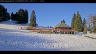 Archived image Webcam Haldenköpfle at Black Forest 13:00