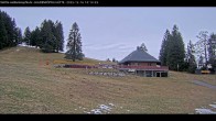 Archiv Foto Webcam Haldenköpfle im Schwarzwald - Hütte 09:00