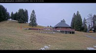 Archiv Foto Webcam Haldenköpfle im Schwarzwald - Hütte 11:00
