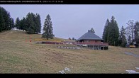 Archiv Foto Webcam Haldenköpfle im Schwarzwald - Hütte 11:00