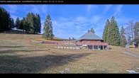 Archiv Foto Webcam Haldenköpfle im Schwarzwald - Hütte 11:00