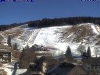 Archiv Foto Webcam Todtnau: Pension Glöcklehof 11:00