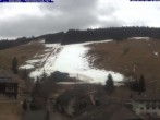 Archiv Foto Webcam Todtnau: Pension Glöcklehof 17:00