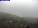Archiv Foto Webcam Todtnau: Pension Glöcklehof 09:00