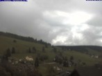 Archiv Foto Webcam Todtnau: Pension Glöcklehof 11:00