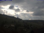 Archiv Foto Webcam Todtnau: Pension Glöcklehof 11:00