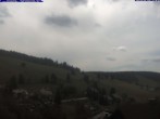 Archiv Foto Webcam Todtnau: Pension Glöcklehof 11:00