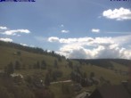 Archiv Foto Webcam Todtnau: Pension Glöcklehof 11:00