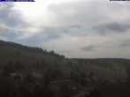 Archiv Foto Webcam Todtnau: Pension Glöcklehof 11:00