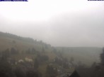Archiv Foto Webcam Todtnau: Pension Glöcklehof 11:00