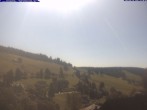 Archived image Webcam Todtnau: guest house Glöcklehof 11:00