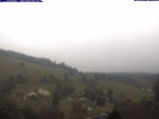Archiv Foto Webcam Todtnau: Pension Glöcklehof 11:00