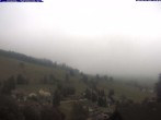 Archiv Foto Webcam Todtnau: Pension Glöcklehof 13:00